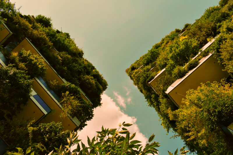 prédios com plantas vistos de baixo para cima para representar como ser uma empresa sustentável